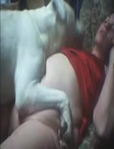 mais de 3.5 gols o que significa - Mulheres transando com animais